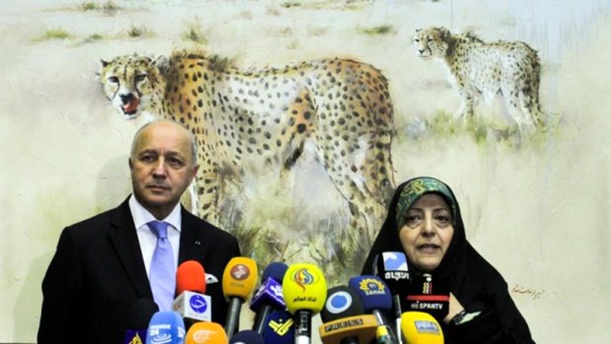 فابیوس از عادی شدن روابط با ایران خبر داد 
