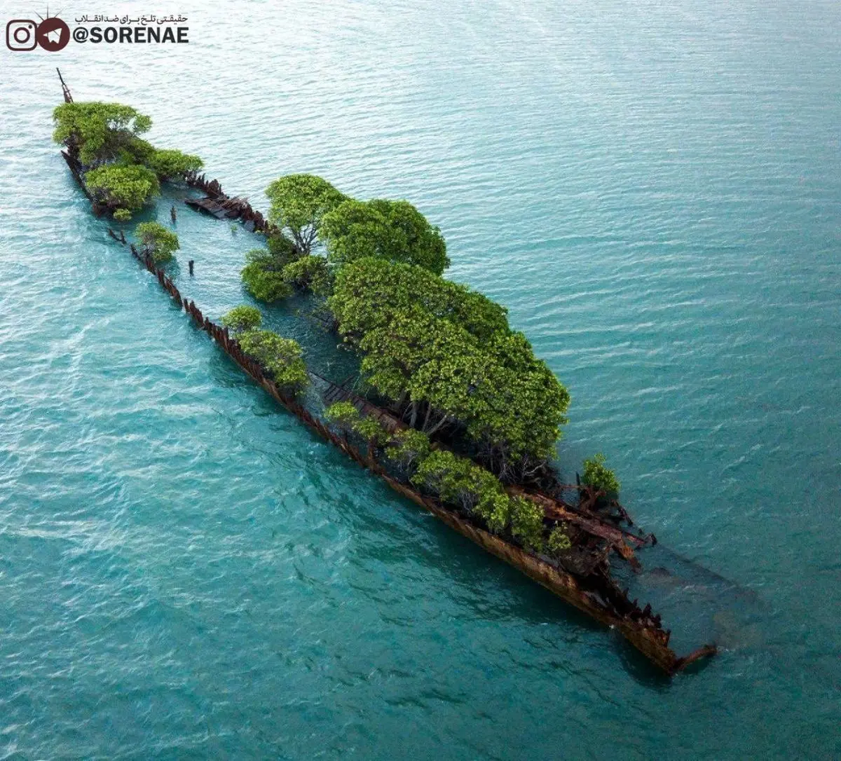 کشتی غرق شده در استرالیا به باغچه تبدیل شد