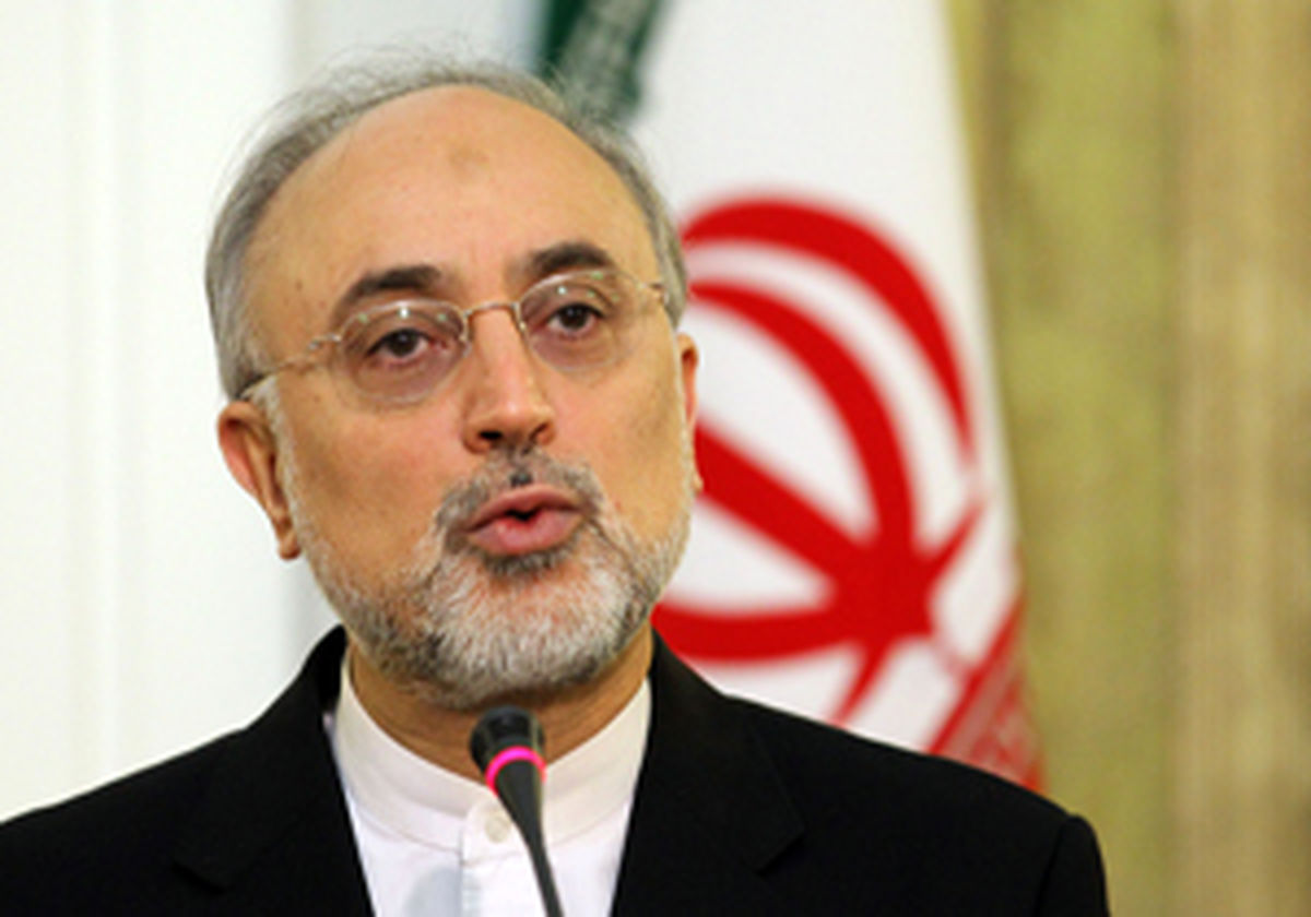 صالحی:  ایران احتمالا متعهد به برجام می‌ماند