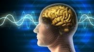 تاثیر مستقیم هورمون استرس بر ژن های مغز