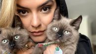 خوشبختی دنیا مدنی در کنار گربه هایش + عکس