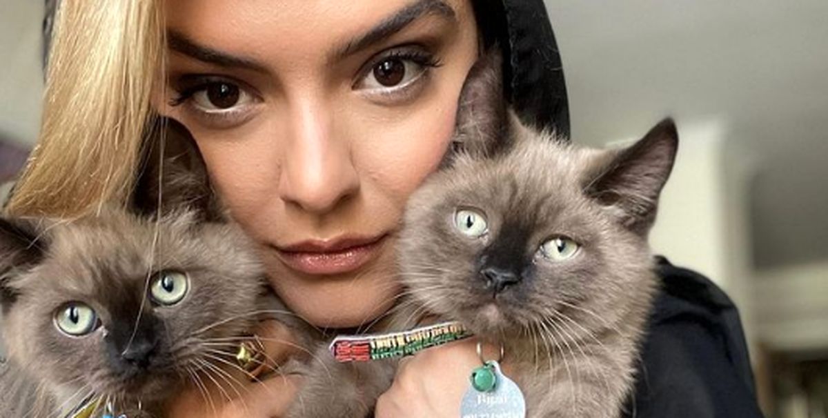 خوشبختی دنیا مدنی در کنار گربه هایش + عکس