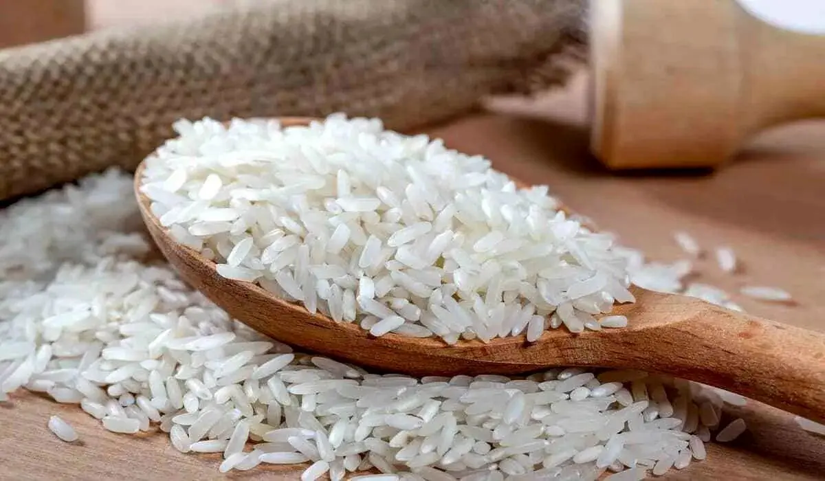 قیمت هر کیلو برنج چقدر است ؟+ جدول