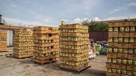 کالاهای قاچاق بین آسیب‌دیدگان حوادث توزیع می‌شود 