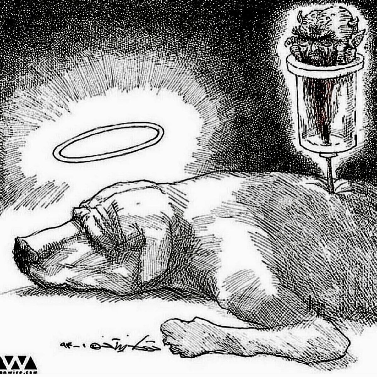 اعتراض محمدرضا فروتن به سگ کشی