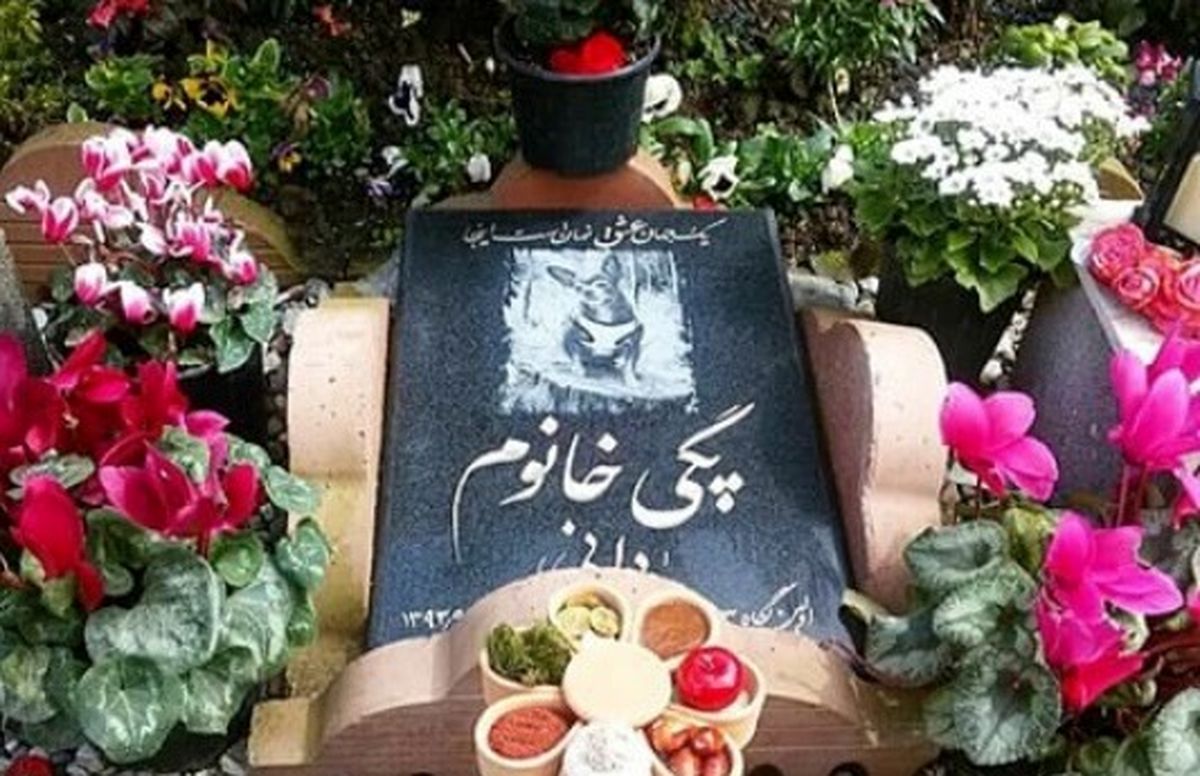 تغییر سبک زندگی، همزیستی با حیوانات اهلی/ اینجا زندگی یک «پیشی» پایان یافته