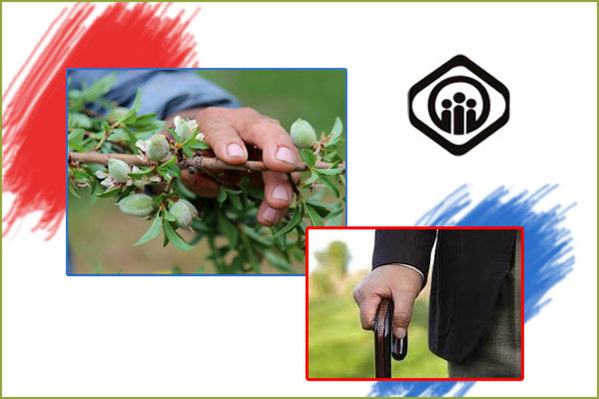 شرایط لازم برای دریافت مقرری بیمه بیکاری اعلام شد 