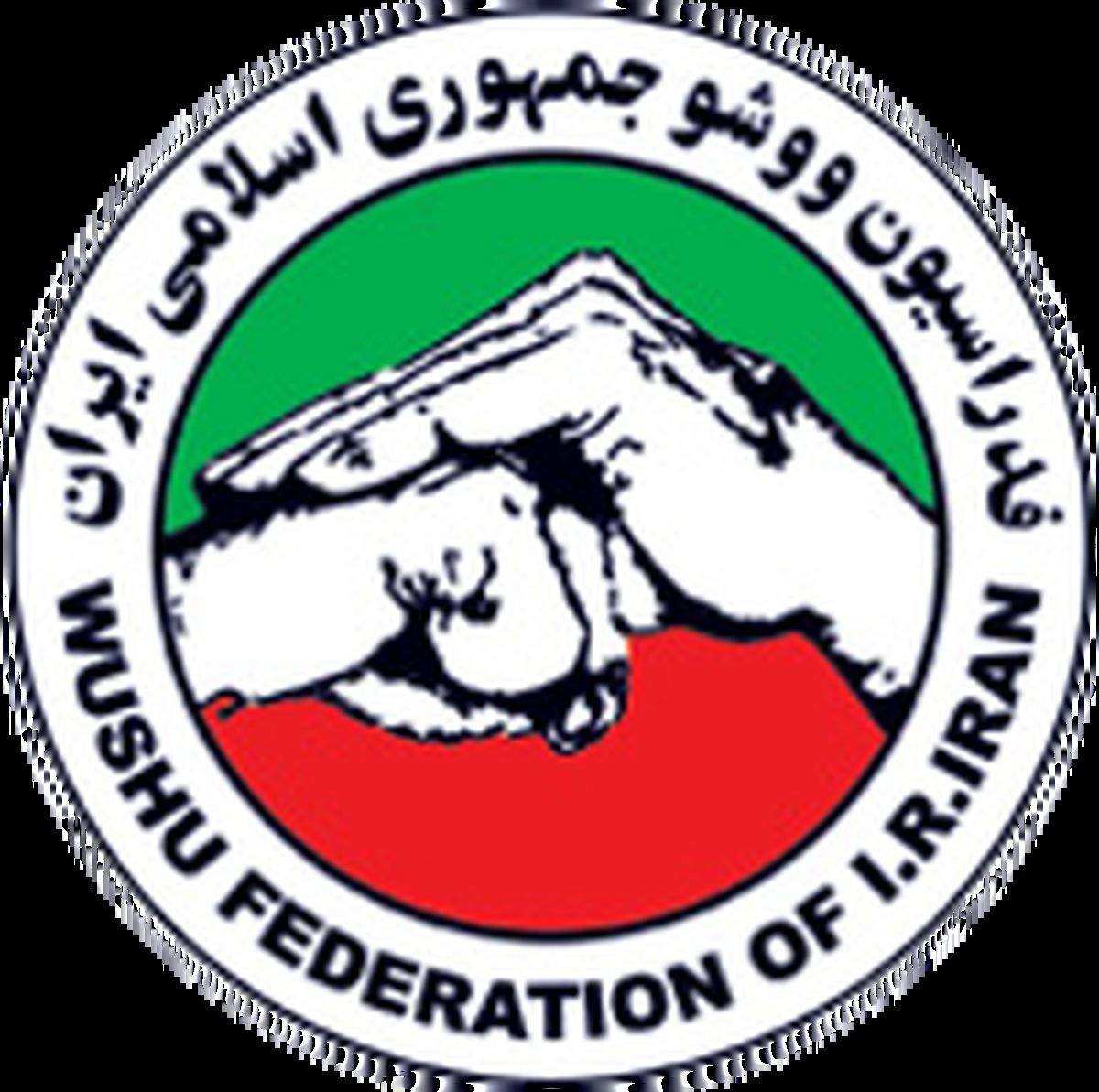 ووشو فقط با یک خواستگار!!