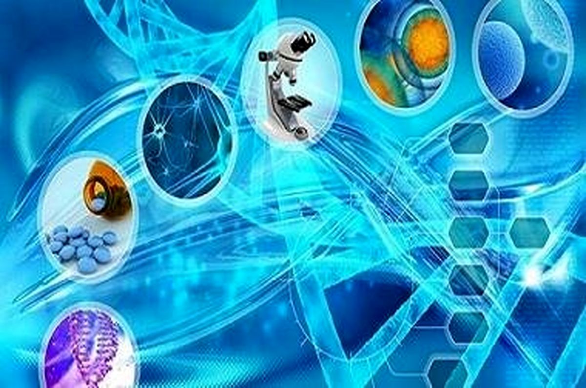 نهایی شدن سند ملی زیست فناوری
