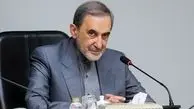 تحلیل ولایتی از "اقدامات نابخردانه‌" ترامپ
