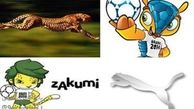 یوزپلنگ ایرانی به جام‌جهانی می‌رود