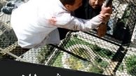 رقص شیطان ابوالفضل پورعرب  + عکس