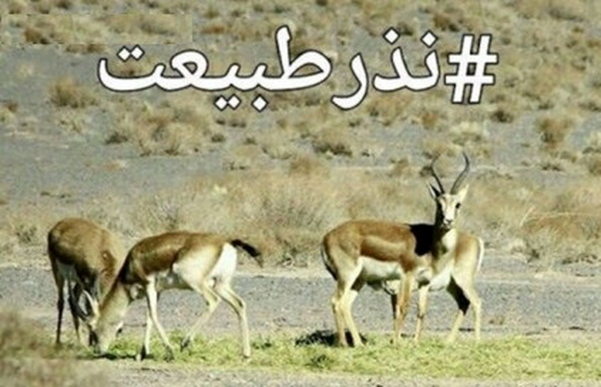 پدیده‌ای جدید به نام«نذر محیط‌زیست»