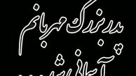 خواننده مشهور عزادار شد + عکس