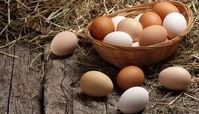 نکاتی که باید قبل از خوردن تخم مرغ بدانید
