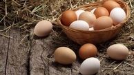نکاتی که باید قبل از خوردن تخم مرغ بدانید