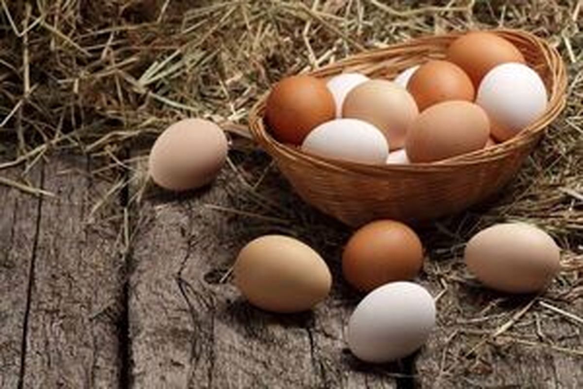 نکاتی که باید قبل از خوردن تخم مرغ بدانید