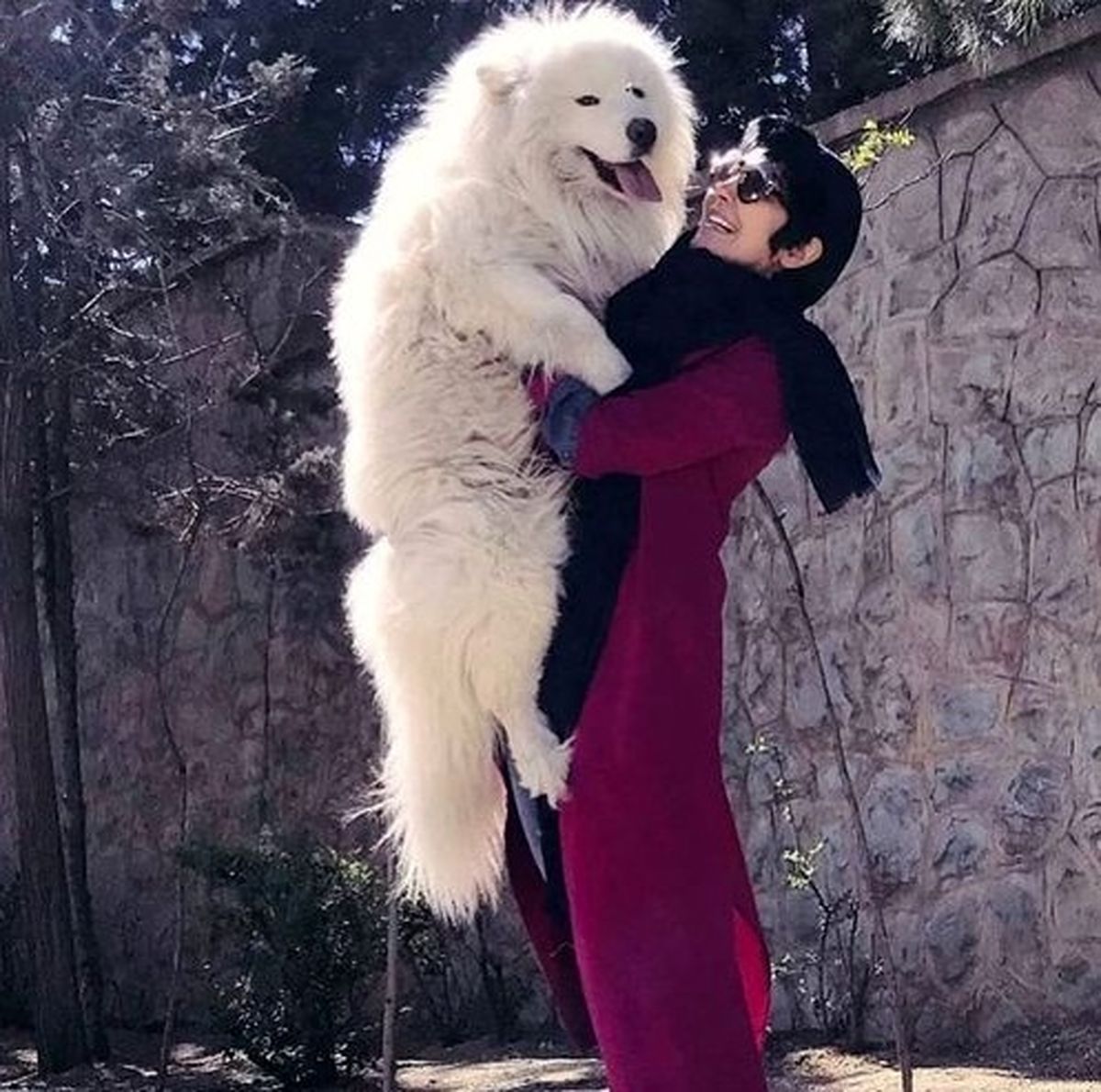 مریم معصومی و سگ غول پیکرش+عکس