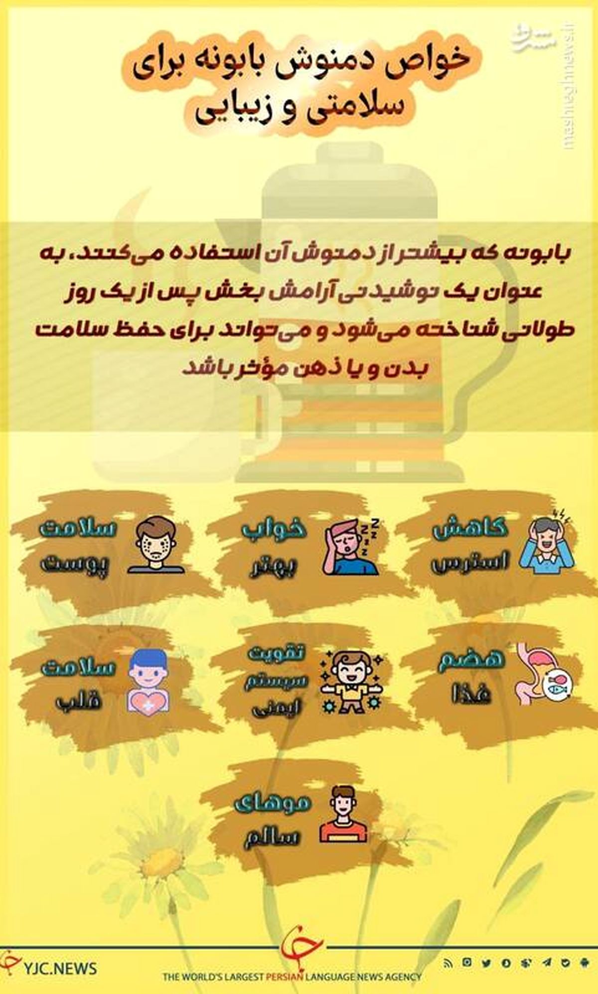 خواص دمنوش بابونه برای سلامتی و زیبایی + اینفو
