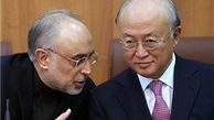 هشدار صالحی به آمانو درباره نقض احتمالی تعهدات برجامی توسط آمریکا