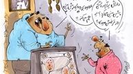 چه خبر از گربه پیشگو؟!