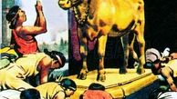 واکنش حضرت موسی در برابر گوساله پرستان!