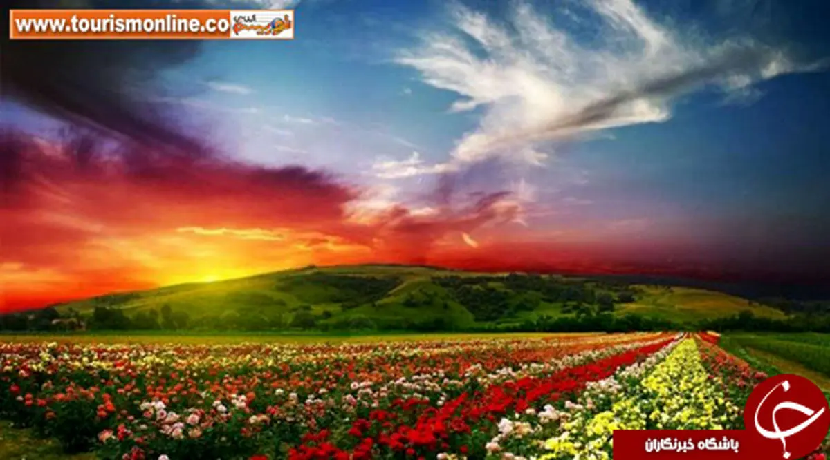 عکسی از رنگی‌ترین پارک دنیا