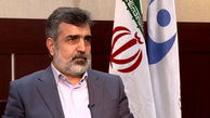 کمالوندی:رفتار انگلیس در خرید کیک زرد ایران سیاسی باشد؛ برخورد خواهد شد
