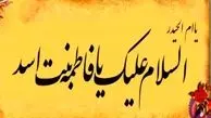شخصیت مادر حضرت على (ع) چگونه بود؟