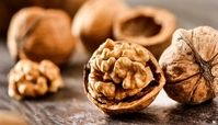 تکنیک خشک کردن گردو تازه با پوست و بدون پوست