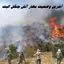 آخرین وضعیت مهار آتش جنگل هیرکانی الیت