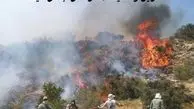 آخرین وضعیت مهار آتش جنگل هیرکانی الیت