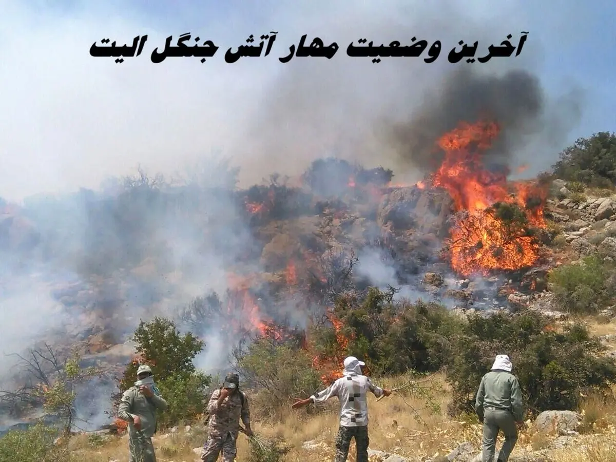 آخرین وضعیت مهار آتش جنگل هیرکانی الیت