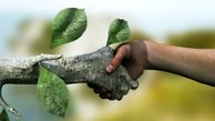 آغاز بکار نمایشگاه عکس حیات وحش در رضوانشهر
