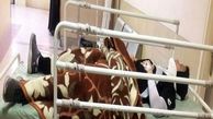 خشونت به فوتسال بانوان کشیده شد