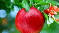 خواص شگفت‌انگیزِ آب انار
