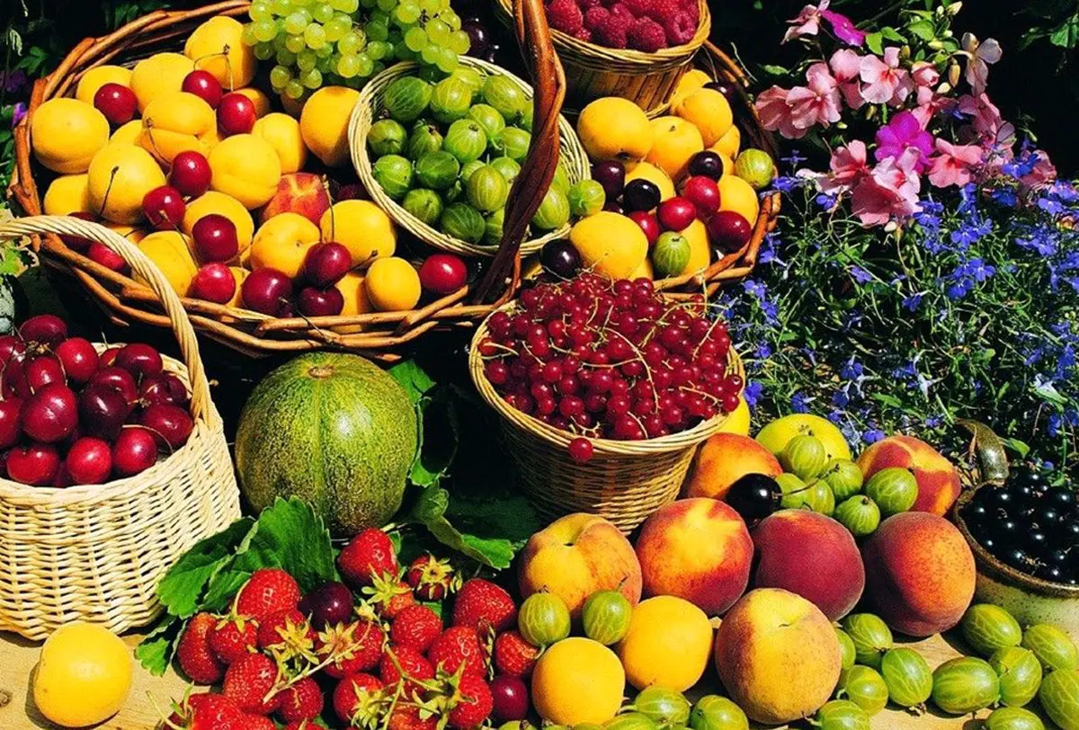 درمان ۷ نوع بیماری با ۷ نوع خوراکی