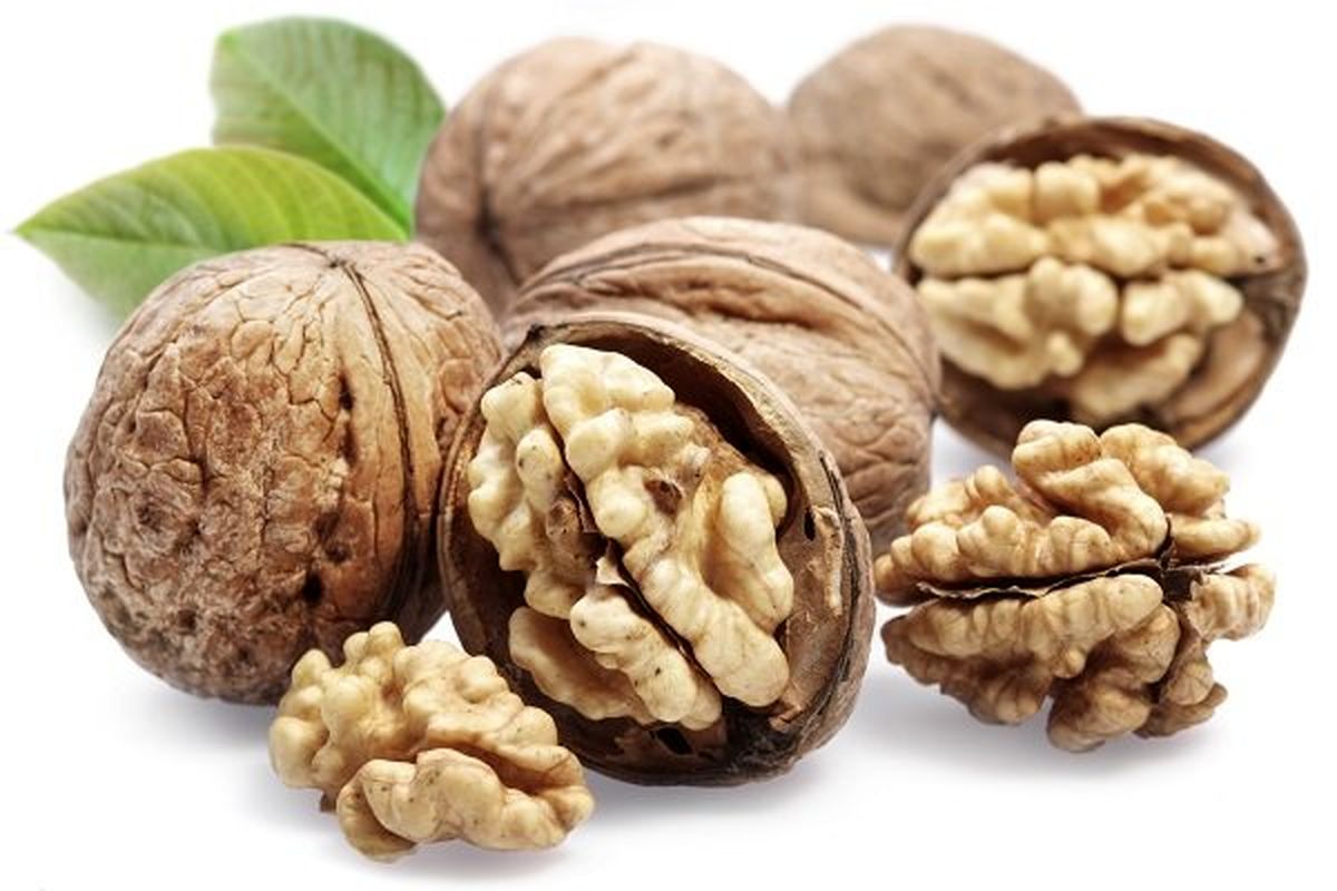زنان باردار روزانه یک عدد گردو بخورند 