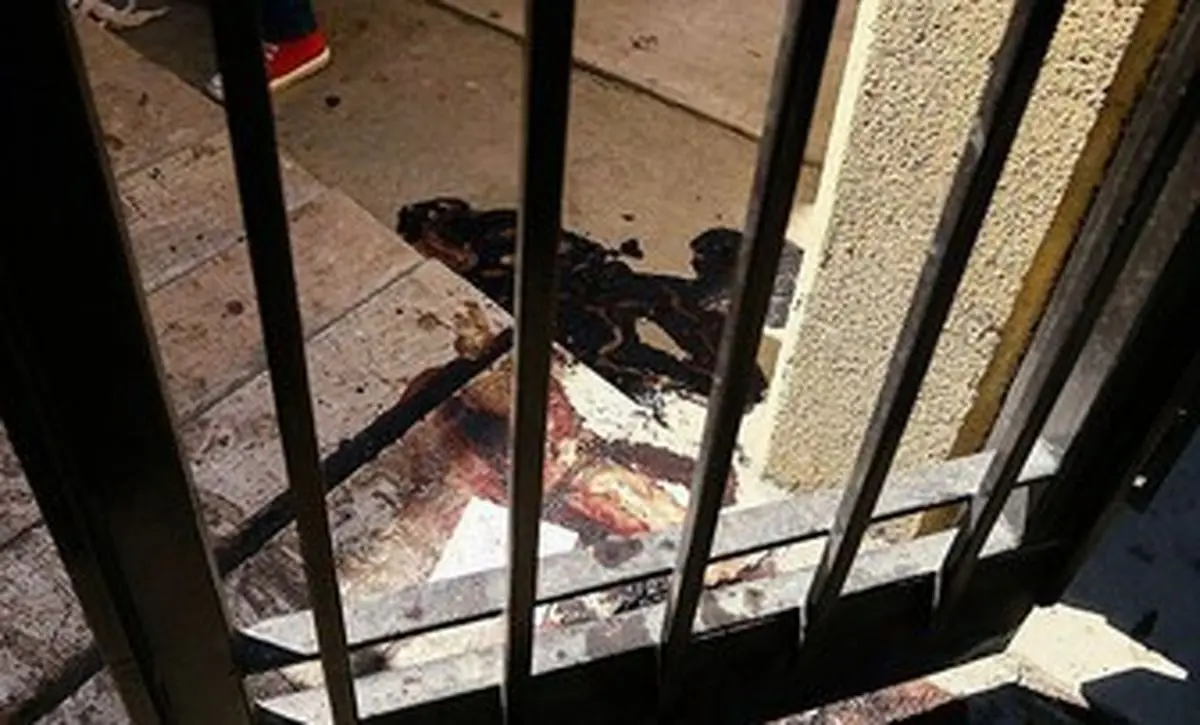 اگر تروریست ها به صحن مجلس می رسیدند