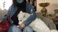 سگ بامزه و زیبا شراره رخام + عکس