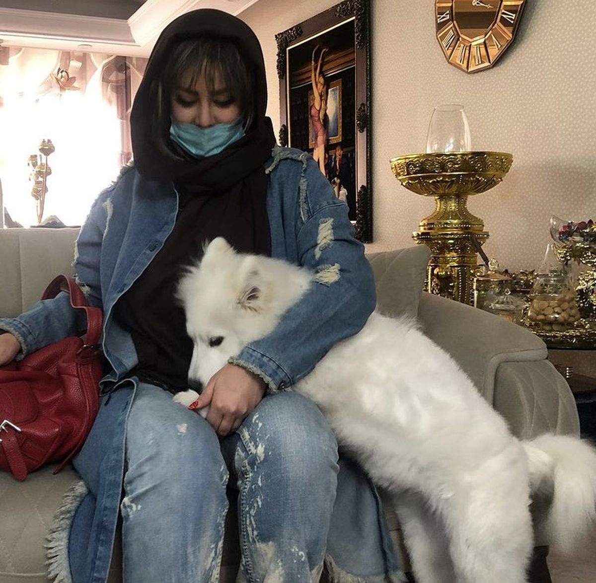 سگ بامزه و زیبا شراره رخام + عکس