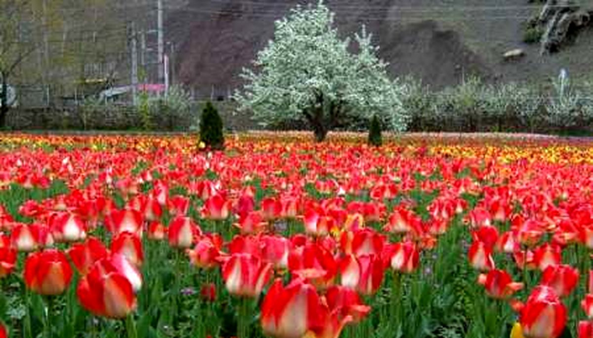 محلات، بهشت رنگارنگ گردشگران