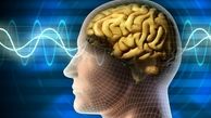 ابداع روشی برای بازگرداندن حافظه آلزایمری‌ها 