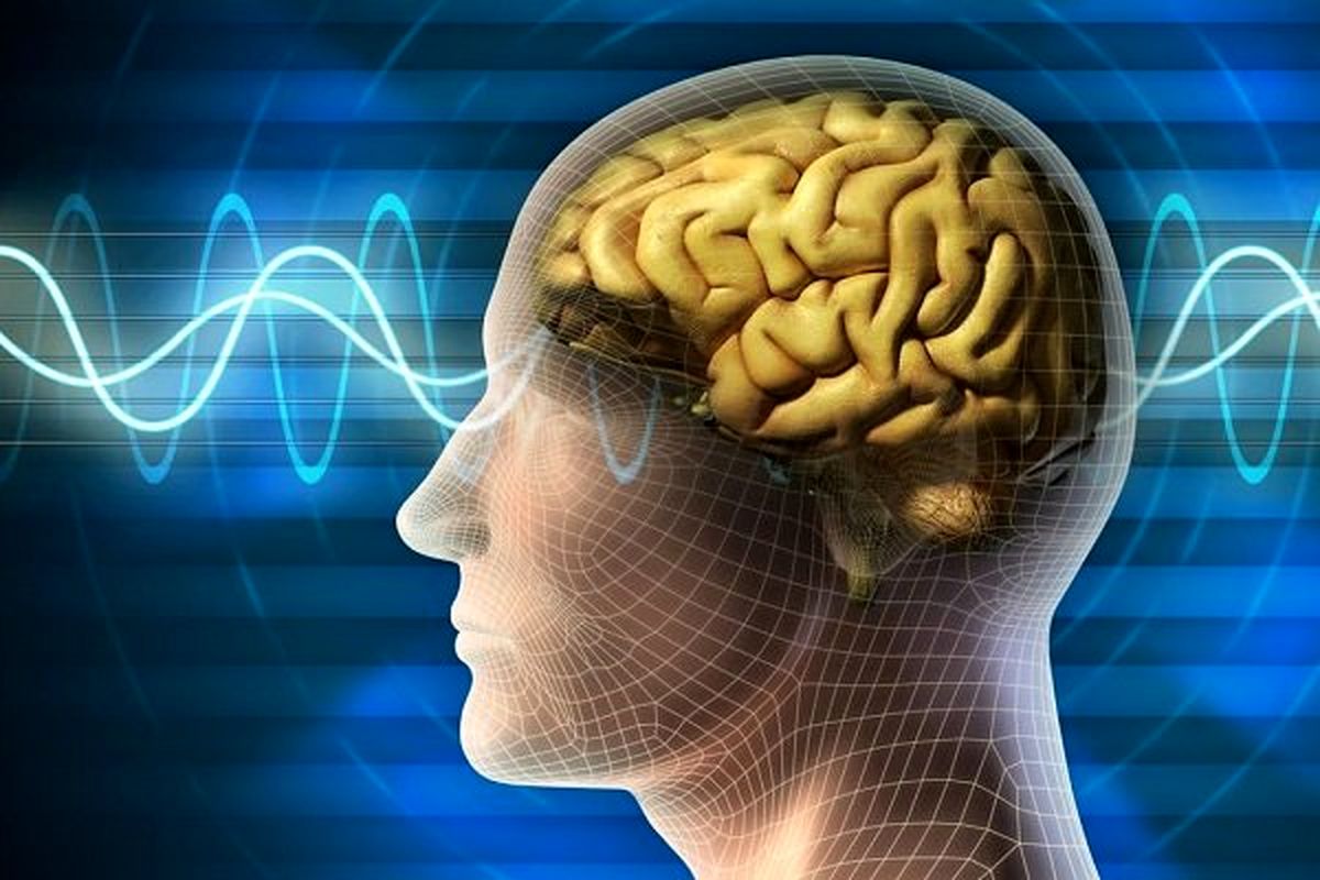 ابداع روشی برای بازگرداندن حافظه آلزایمری‌ها 
