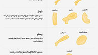 از پنه تا اسپاگتی؛ آشنایی با انواع مختلف پاستای ایتالیایی