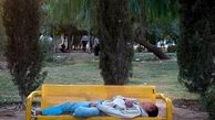 از بزم شبانه معتادان تا بساط قمار در پارک‌ها 