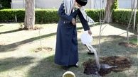 تخریب جنگل‌ها و محیط زیست، تخریب منافع ملی است