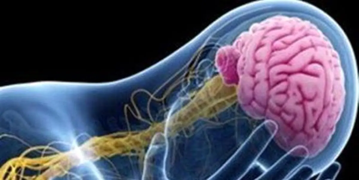 شایع‌ترین علل صرع در ایران