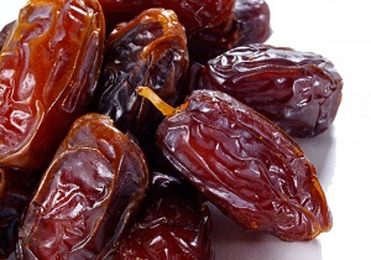 رد شایعه سرایت بیماری از خفاش به خرماهای بم