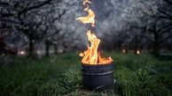 راهکار کشاورزان سوئیسی برای مقابله با سرما+ عکس